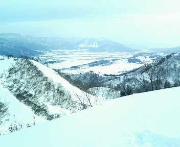 200902191525000.jpg