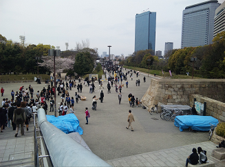 SH380018.png