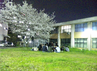 SH380019.png